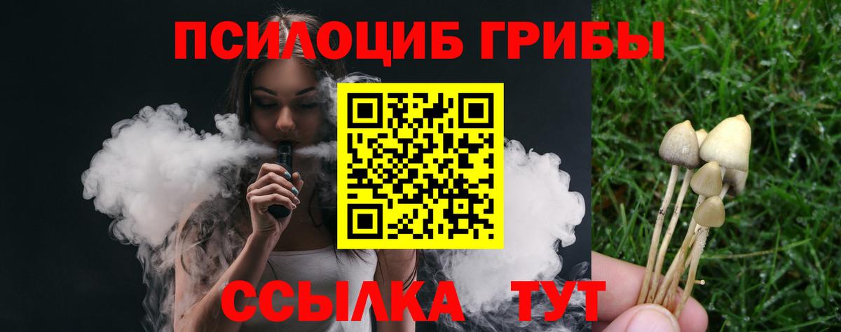 как найти закладки  Галлюциногенные грибы GOLDEN TEACHER  Галлюциногенные грибы MAGIC MUSHROOMS  Вход с VPN  Шатура 
